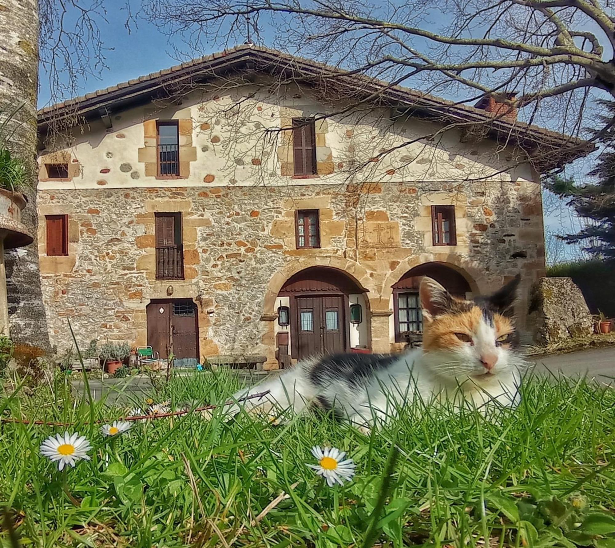 Casa Rural Areano Escoriaza Dış mekan fotoğraf