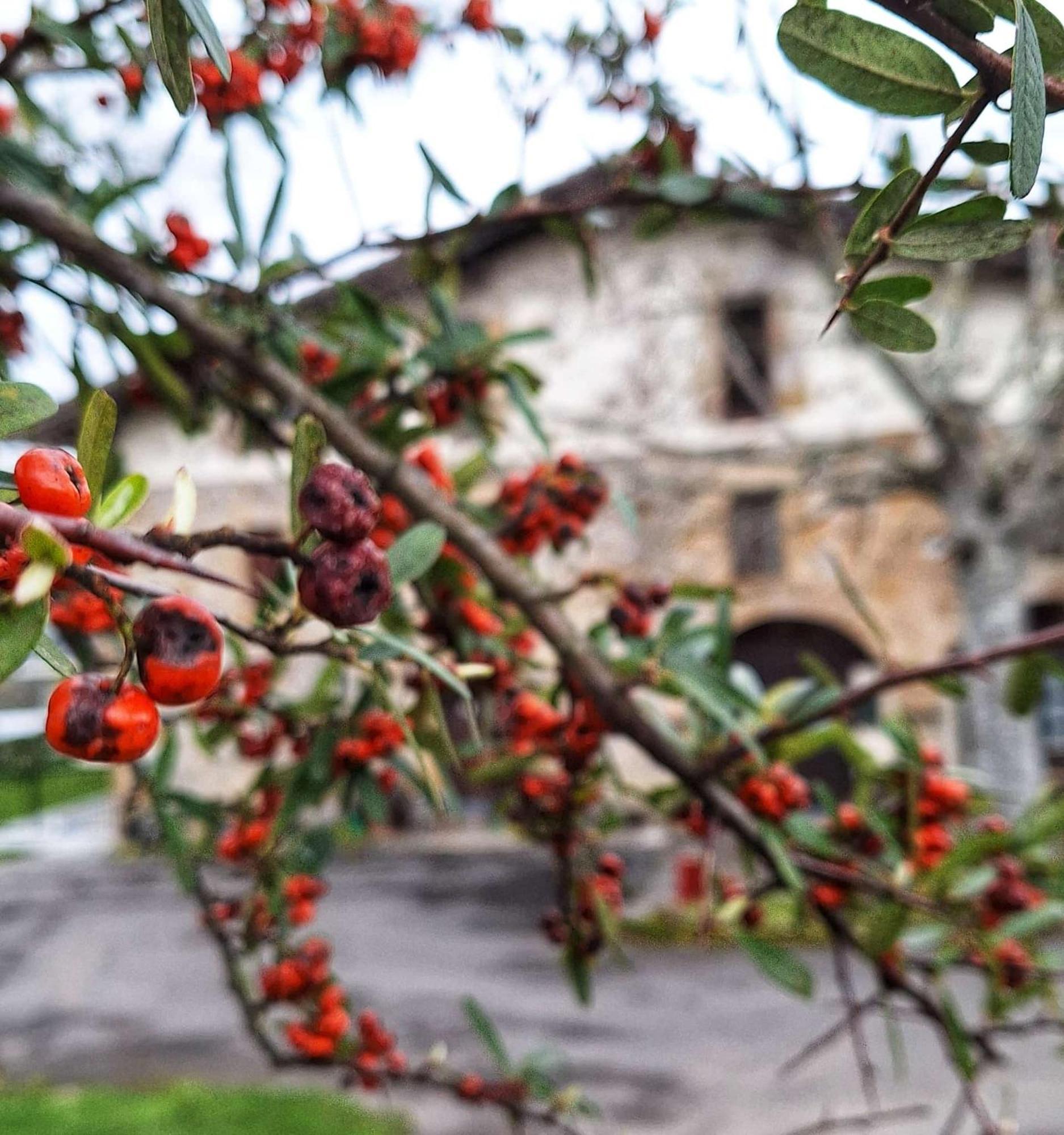 Casa Rural Areano Escoriaza Dış mekan fotoğraf