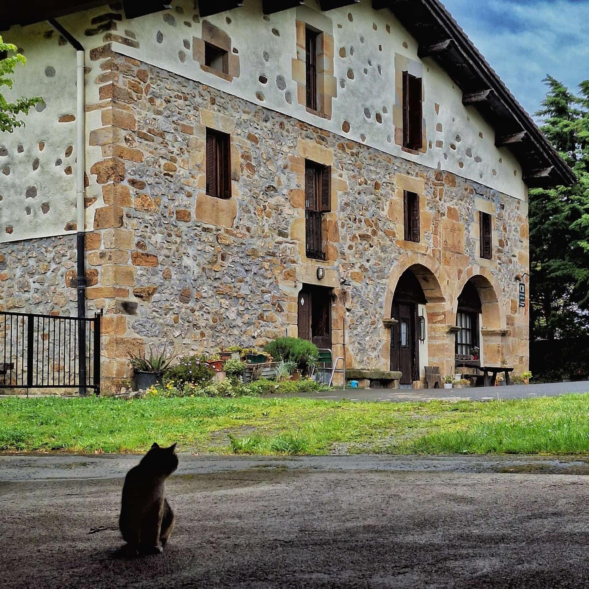 Casa Rural Areano Escoriaza Dış mekan fotoğraf