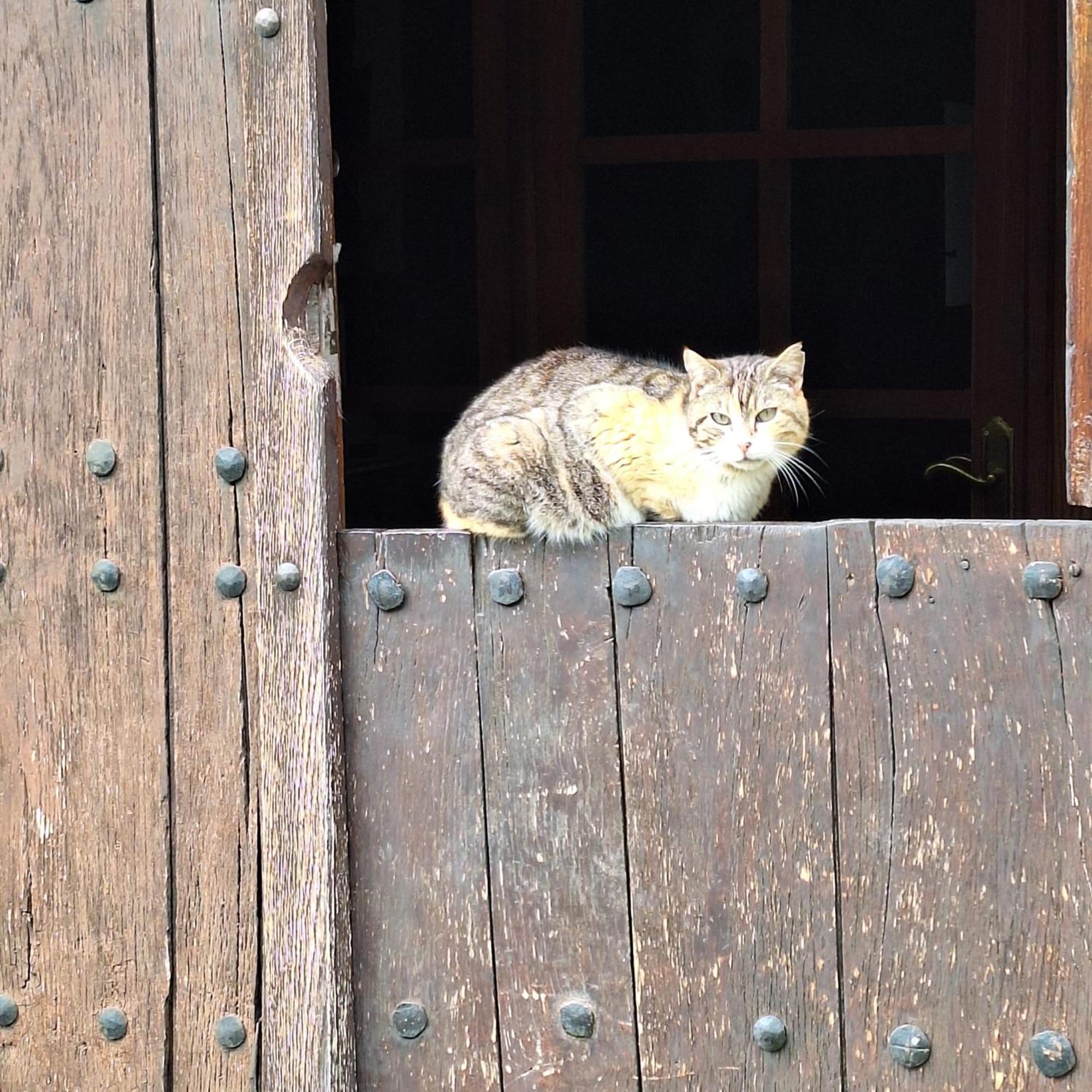 Casa Rural Areano Escoriaza Dış mekan fotoğraf