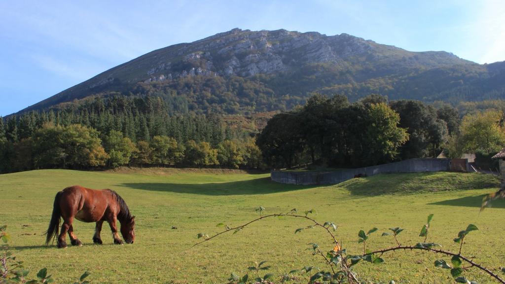 Casa Rural Areano Escoriaza Dış mekan fotoğraf